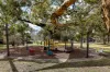 26 Chippindall Circuit, Theodore, ACT 2905-Image
