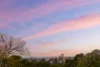 26 Clontarf Street, Seaforth, NSW 2092-Image