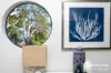 26 Corrie Lane, Corlette, NSW 2315-Image