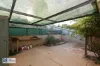 26 Cummins Street, Port Augusta, SA 5700-Image