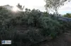26 Cummins Street, Port Augusta, SA 5700-Image
