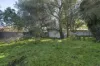 26 Curzon Street, Camden Park, SA 5038-Image