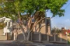 26 Ferry Road, Glebe, NSW 2037-Image