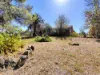 26 Fitches Lane, Grenfell, NSW 2810-Image