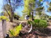 26 Fitches Lane, Grenfell, NSW 2810-Image
