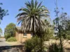 26 Fitches Lane, Grenfell, NSW 2810-Image