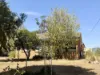 26 Fitches Lane, Grenfell, NSW 2810-Image