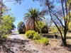 26 Fitches Lane, Grenfell, NSW 2810-Image