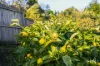 26 Flinders Street, Beauty Point, Tas 7270-Image