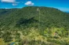 26 Forestry Road, Brandy Creek, Qld 4800-Image