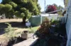 26 Gladstone Street, Jennings, NSW 4383-Image