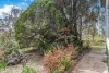 26 Gladstone Street, Jennings, NSW 4383-Image