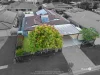 26 Glenwood Place, Hemmant, Qld 4174-Image