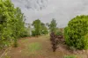 26 Harold Street, Ouyen, Vic 3490-Image