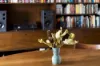 26 High Holborn Street, Surry Hills, NSW 2010-Image