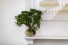 26 High Holborn Street, Surry Hills, NSW 2010-Image