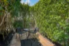 26 Higlett Street, Scarborough, Qld 4020-Image