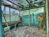 26 Hinten Crescent, Taree, NSW 2430-Image