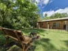 26 Hutton Drive, Tolga, Qld 4882-Image