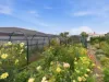 26 Jermyn Street, Ulverstone, Tas 7315-Image