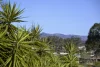 26 Kiln Street, Grantham, Qld 4347-Image