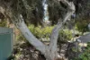26 Kobeelya Avenue, Katanning, WA 6317-Image
