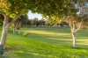 26 Laredo Bend, Port Kennedy, WA 6172-Image