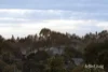26 Lechte Road, Mount Waverley, Vic 3149-Image