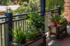 26 Mabel Street, Beresford, WA 6530-Image