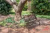 26 Mabel Street, Beresford, WA 6530-Image