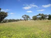 26 Margaret Street, Cunderdin, WA 6407-Image