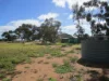 26 Margaret Street, Cunderdin, WA 6407-Image