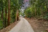 26 Maroochy Spring Drive, Dulong, Qld 4560-Image