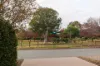 26 Mary Kitson Street, Watson, ACT 2602-Image