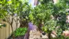26 Maud Street, Sunnybank, Qld 4109-Image