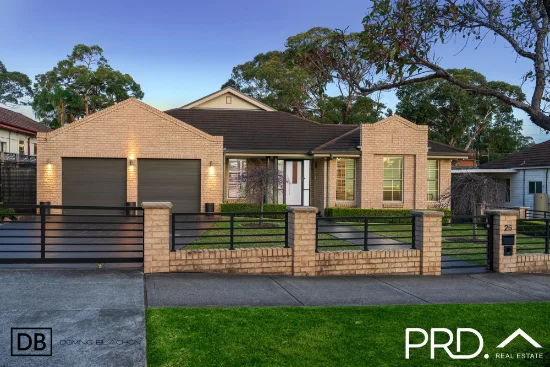 26 Monie Ave, East Hills, NSW 2213 - For Sale