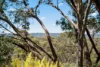 26 Orleana Street, Flagstaff Hill, SA 5159-Image