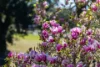 26 Park Lane, Bega, NSW 2550-Image