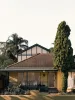 26 Penshurst Avenue, Penshurst, NSW 2222-Image