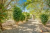 26 Plum Tree Crescent, Moore Park Beach, Qld 4670-Image
