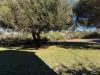 26 Redheart Court, Karakin, WA 6044-Image