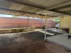 26 Rodda Street, Port Pirie, SA 5540-Image