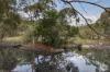26 Rowlers Road, Snake Valley, Vic 3351-Image