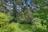 26 San Jose Avenue, Lawson, NSW 2783-Image