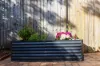26 Searl Street, Petersham, NSW 2049-Image