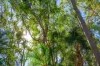 26 Seilers Road, Lake Clarendon, Qld 4343-Image