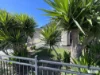 26 Semillon Crescent, Andrews Farm, SA 5114-Image