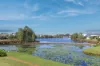 26 Shoreline Drive, Tea Gardens, NSW 2324-Image