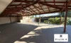 26 Shoreview Street, Wandina, WA 6530-Image