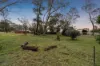 26 Tooma Drive, Riverglades, SA 5253-Image